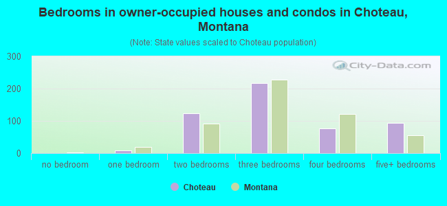 Bedrooms in owner-occupied houses and condos in Choteau, Montana