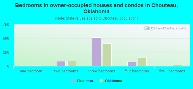 Bedrooms in owner-occupied houses and condos in Chouteau, Oklahoma