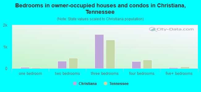 Bedrooms in owner-occupied houses and condos in Christiana, Tennessee