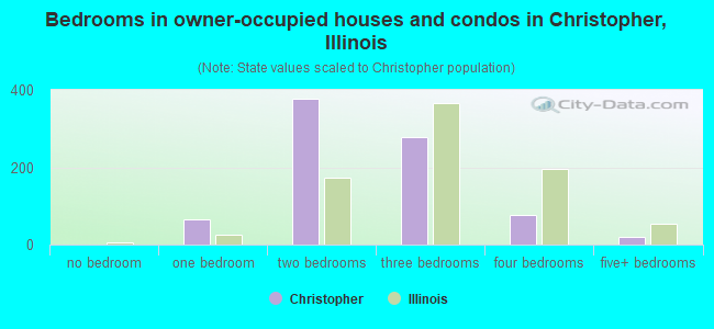 Bedrooms in owner-occupied houses and condos in Christopher, Illinois