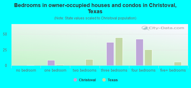 Bedrooms in owner-occupied houses and condos in Christoval, Texas