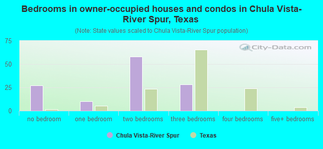 Bedrooms in owner-occupied houses and condos in Chula Vista-River Spur, Texas