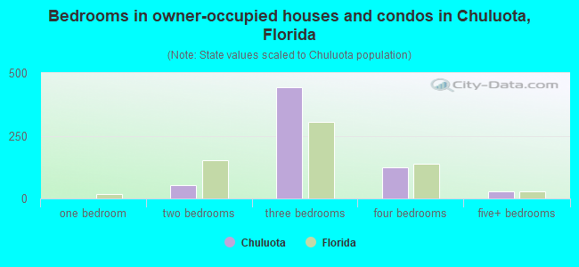 Bedrooms in owner-occupied houses and condos in Chuluota, Florida
