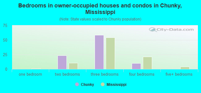 Bedrooms in owner-occupied houses and condos in Chunky, Mississippi