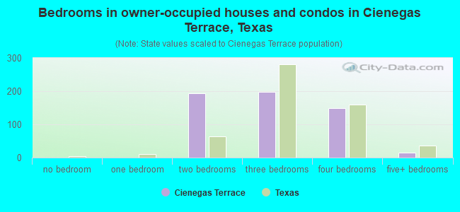 Bedrooms in owner-occupied houses and condos in Cienegas Terrace, Texas