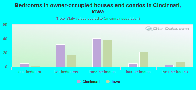 Bedrooms in owner-occupied houses and condos in Cincinnati, Iowa