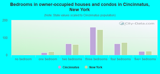 Bedrooms in owner-occupied houses and condos in Cincinnatus, New York