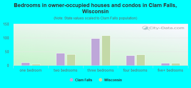 Bedrooms in owner-occupied houses and condos in Clam Falls, Wisconsin