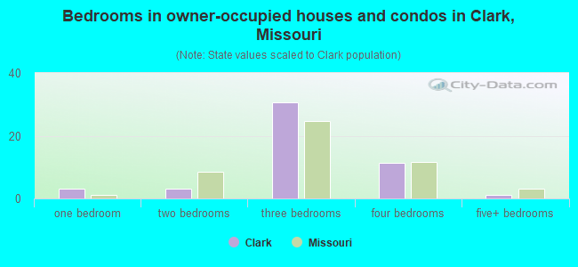 Bedrooms in owner-occupied houses and condos in Clark, Missouri