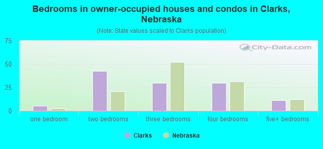 Bedrooms in owner-occupied houses and condos in Clarks, Nebraska