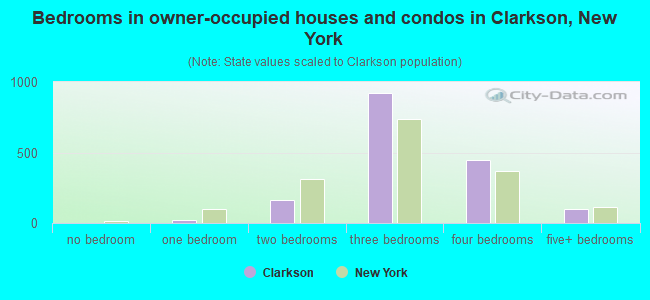 Bedrooms in owner-occupied houses and condos in Clarkson, New York