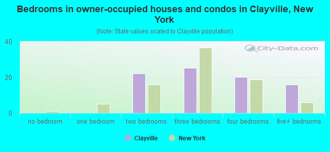 Bedrooms in owner-occupied houses and condos in Clayville, New York