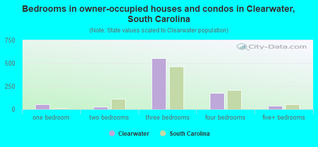 Bedrooms in owner-occupied houses and condos in Clearwater, South Carolina