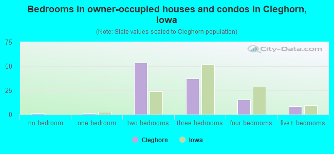 Bedrooms in owner-occupied houses and condos in Cleghorn, Iowa