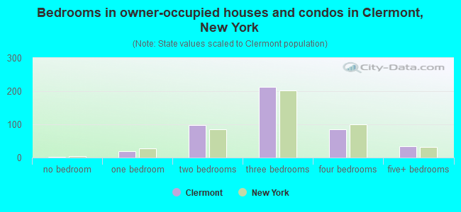 Bedrooms in owner-occupied houses and condos in Clermont, New York