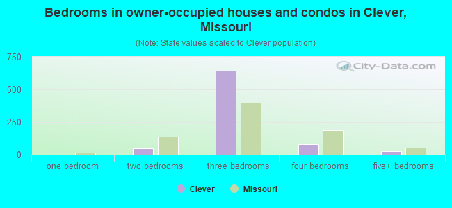 Bedrooms in owner-occupied houses and condos in Clever, Missouri