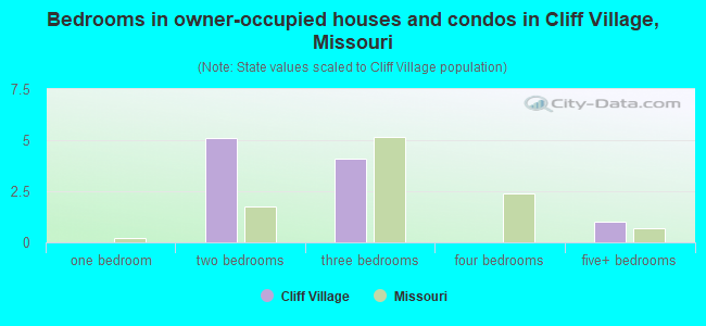 Bedrooms in owner-occupied houses and condos in Cliff Village, Missouri