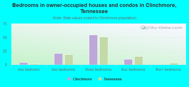 Bedrooms in owner-occupied houses and condos in Clinchmore, Tennessee