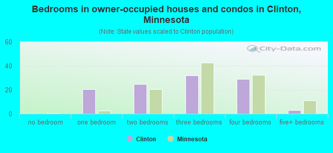 Bedrooms in owner-occupied houses and condos in Clinton, Minnesota