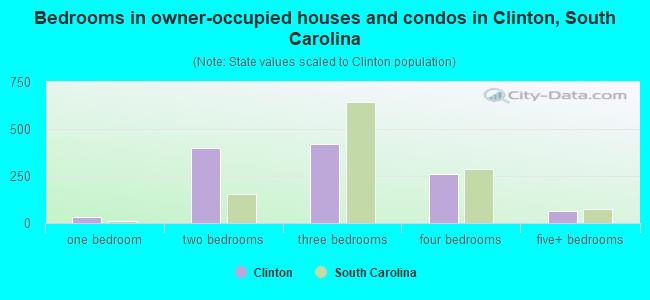 Bedrooms in owner-occupied houses and condos in Clinton, South Carolina