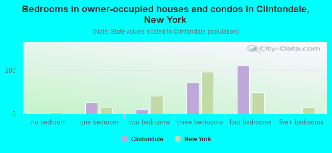 Bedrooms in owner-occupied houses and condos in Clintondale, New York