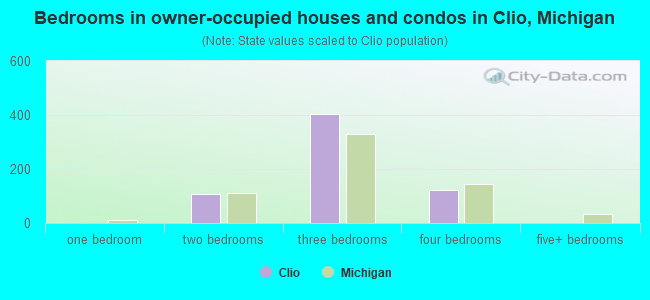 Bedrooms in owner-occupied houses and condos in Clio, Michigan