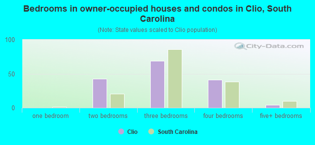 Bedrooms in owner-occupied houses and condos in Clio, South Carolina