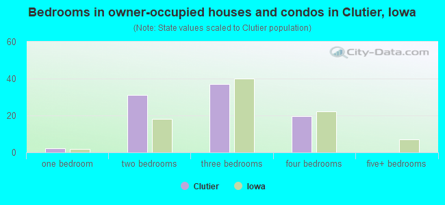 Bedrooms in owner-occupied houses and condos in Clutier, Iowa