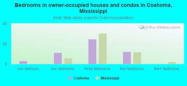 Bedrooms in owner-occupied houses and condos in Coahoma, Mississippi