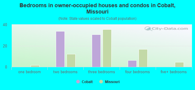 Bedrooms in owner-occupied houses and condos in Cobalt, Missouri