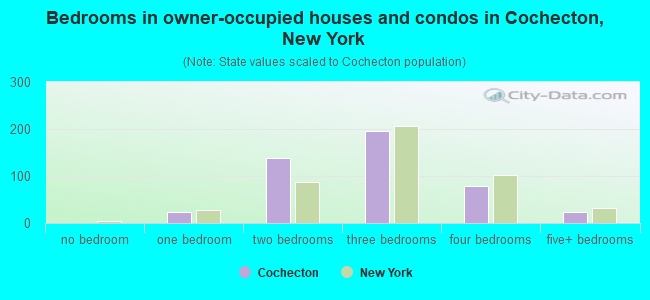 Bedrooms in owner-occupied houses and condos in Cochecton, New York