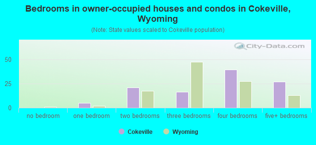 Bedrooms in owner-occupied houses and condos in Cokeville, Wyoming