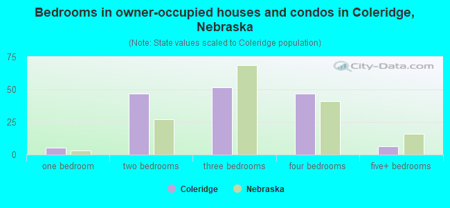 Bedrooms in owner-occupied houses and condos in Coleridge, Nebraska