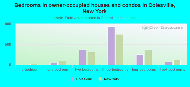 Bedrooms in owner-occupied houses and condos in Colesville, New York