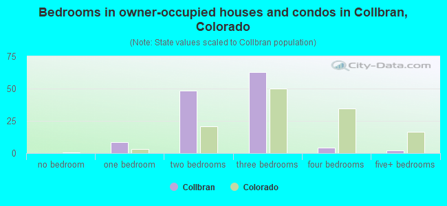 Bedrooms in owner-occupied houses and condos in Collbran, Colorado