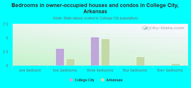 Bedrooms in owner-occupied houses and condos in College City, Arkansas