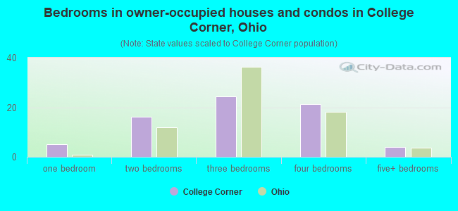 Bedrooms in owner-occupied houses and condos in College Corner, Ohio