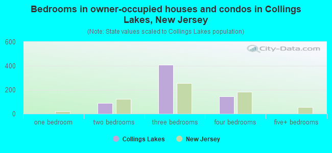 Bedrooms in owner-occupied houses and condos in Collings Lakes, New Jersey