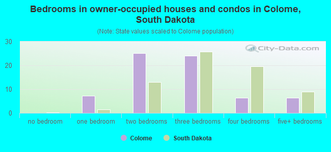 Bedrooms in owner-occupied houses and condos in Colome, South Dakota