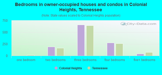 Bedrooms in owner-occupied houses and condos in Colonial Heights, Tennessee