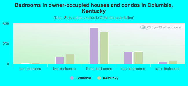Bedrooms in owner-occupied houses and condos in Columbia, Kentucky