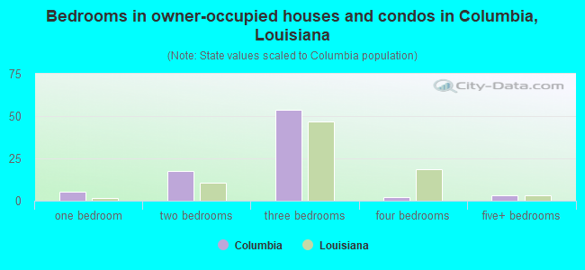 Bedrooms in owner-occupied houses and condos in Columbia, Louisiana