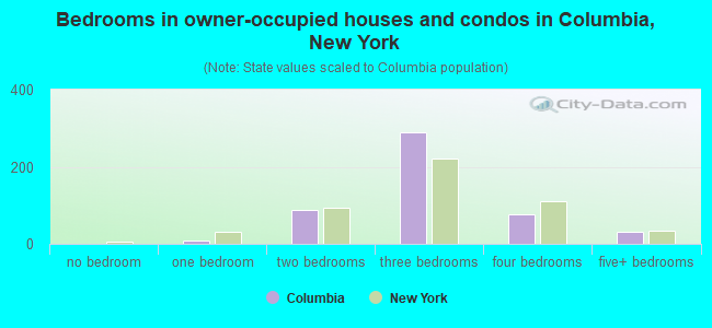 Bedrooms in owner-occupied houses and condos in Columbia, New York