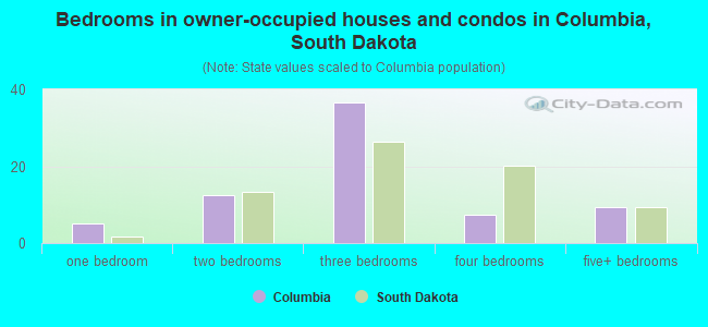 Bedrooms in owner-occupied houses and condos in Columbia, South Dakota