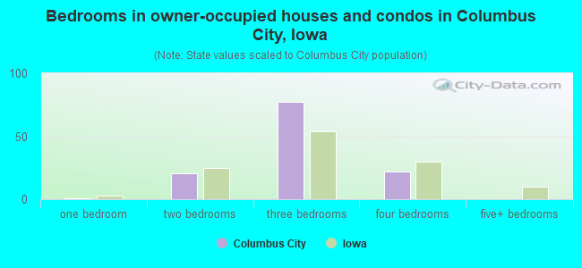 Bedrooms in owner-occupied houses and condos in Columbus City, Iowa