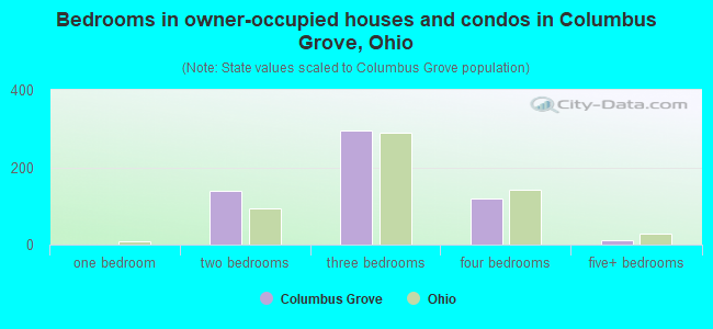 Bedrooms in owner-occupied houses and condos in Columbus Grove, Ohio