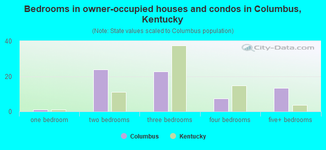 Bedrooms in owner-occupied houses and condos in Columbus, Kentucky