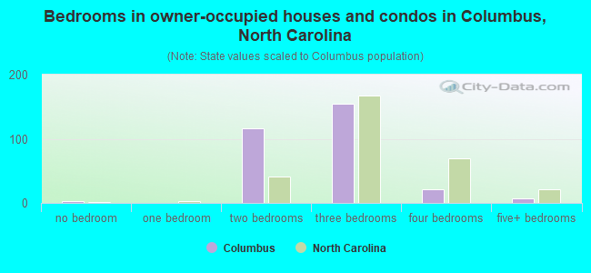 Bedrooms in owner-occupied houses and condos in Columbus, North Carolina