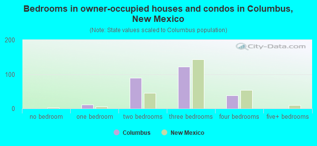 Bedrooms in owner-occupied houses and condos in Columbus, New Mexico