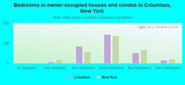 Bedrooms in owner-occupied houses and condos in Columbus, New York